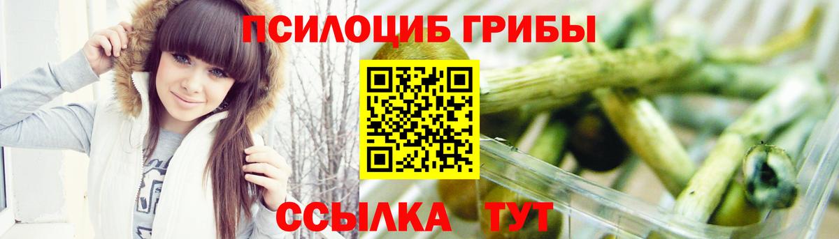 Галлюциногенные грибы Cubensis Советский